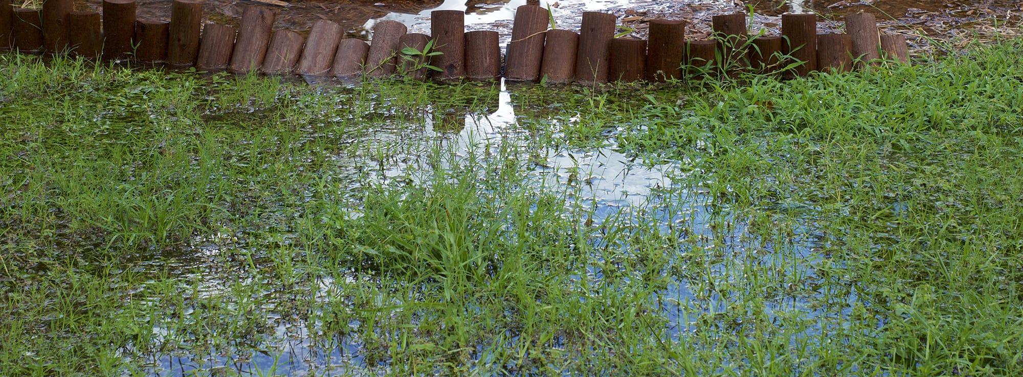 Elements Drainage FAQ